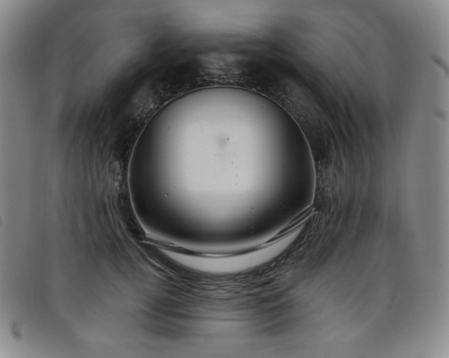 X0000098130752200804241649