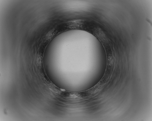 X0000098130753200804241649
