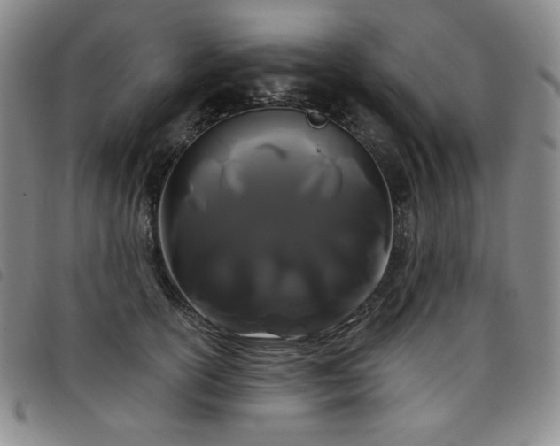 X0000098130754200804241649