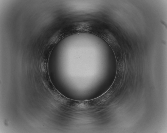 X0000098130755200804241649