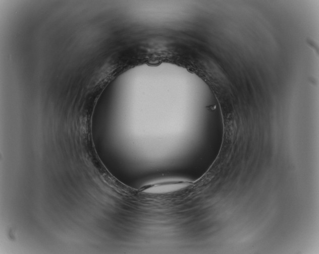 X0000098130756200804241649