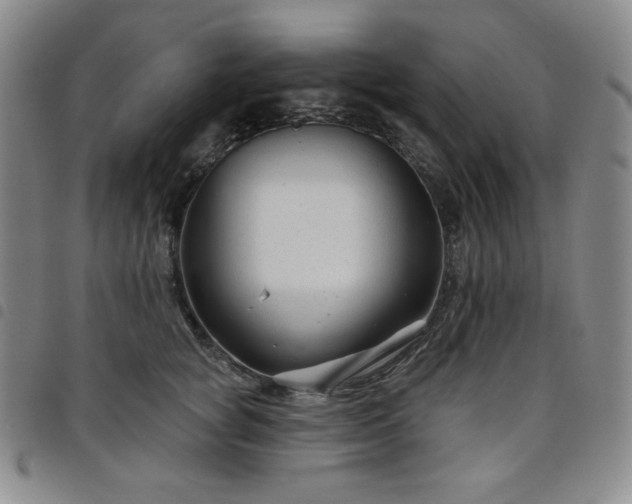X0000098130757200804241649