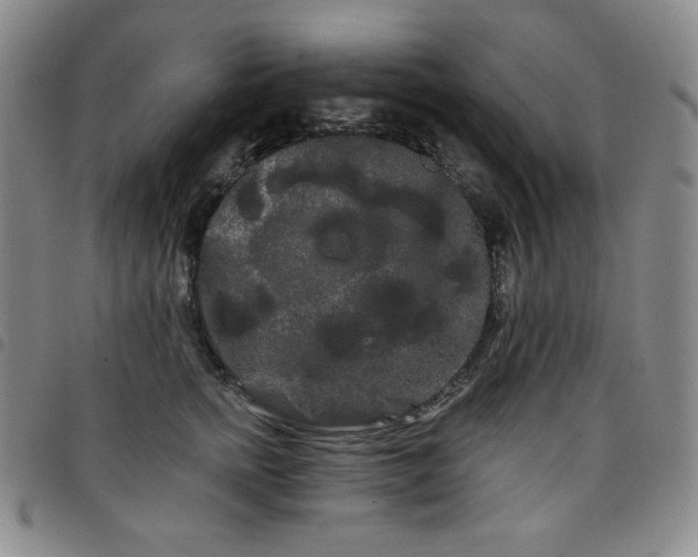 X0000098130758200804241649