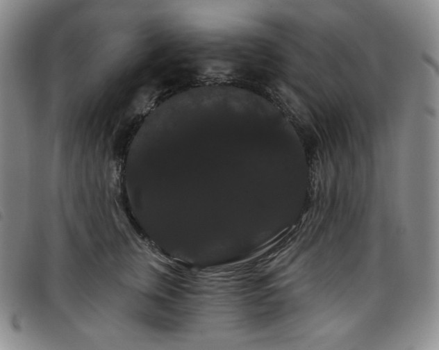 X0000098130759200804241649