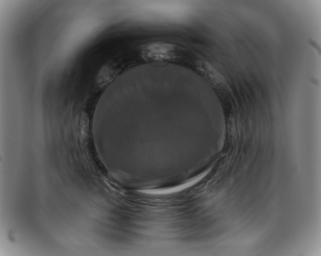 X0000098130760200804241649