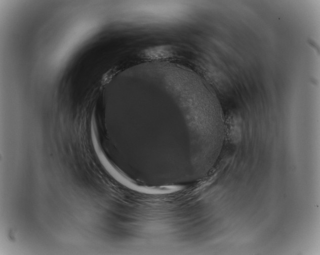 X0000098130762200804241649