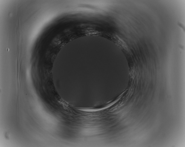X0000098130763200804241649