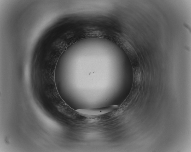 X0000098130764200804241649