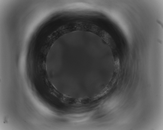 X0000098130765200804241649