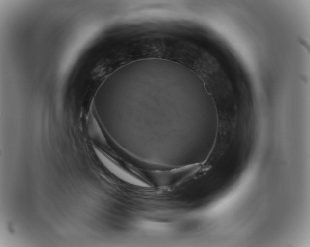 X0000098130766200804241649