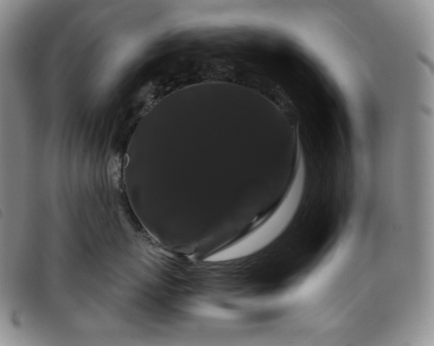X0000098130767200804241650
