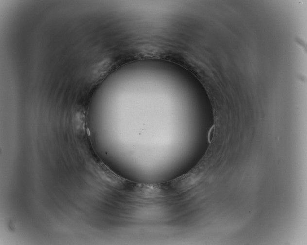 X0000098130768200804241650