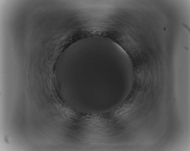 X0000098130769200804241649
