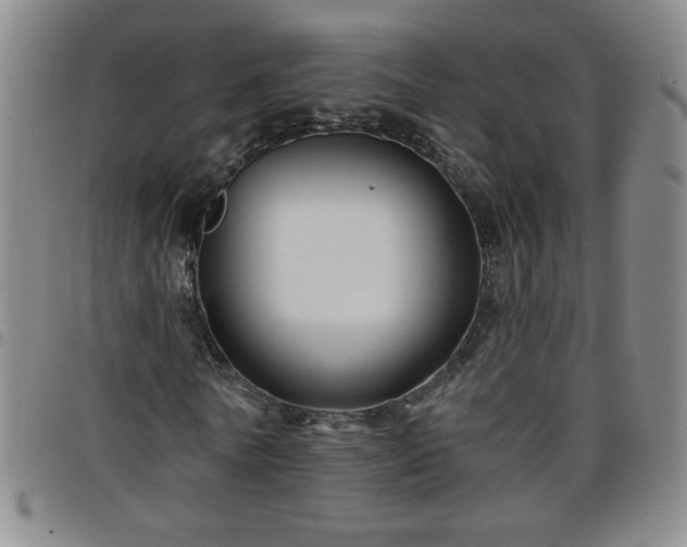 X0000098130770200804241649