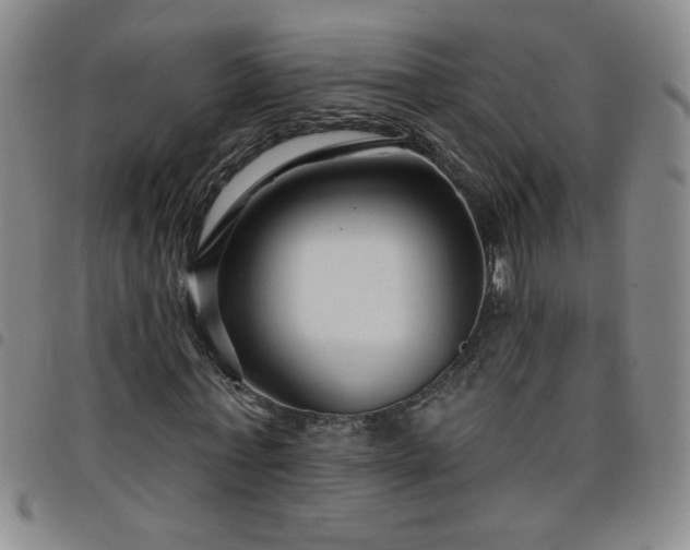 X0000098130771200804241649
