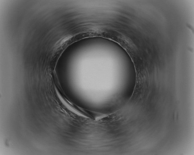 X0000098130773200804241649