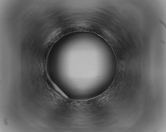 X0000098130774200804241649