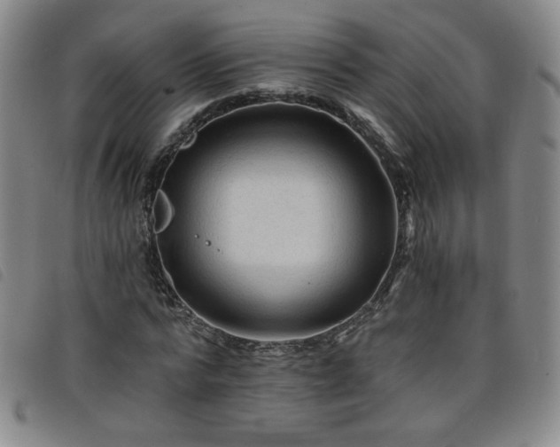 X0000098130776200804241649