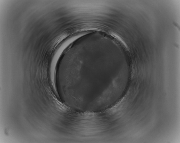 X0000098130777200804241649