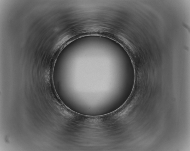 X0000098130778200804241649
