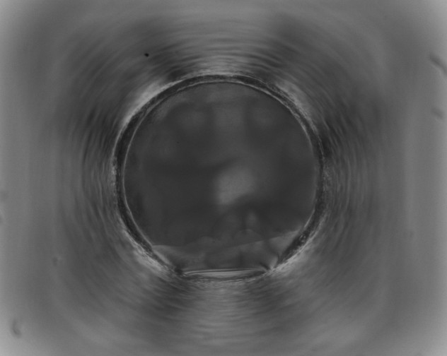 X0000098130779200804241649