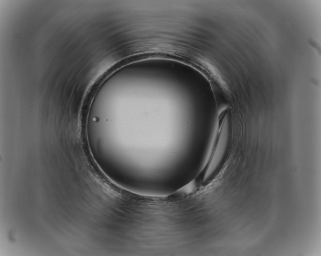 X0000098130780200804241649