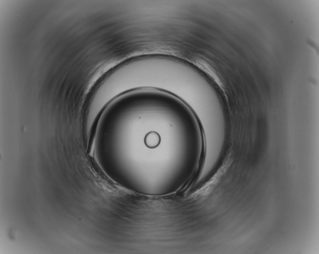 X0000098130781200804241649