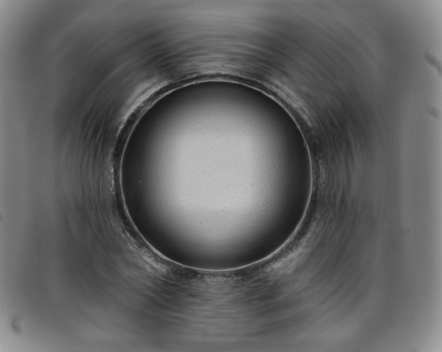X0000098130782200804241649
