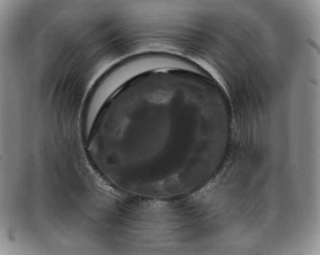 X0000098130783200804241648
