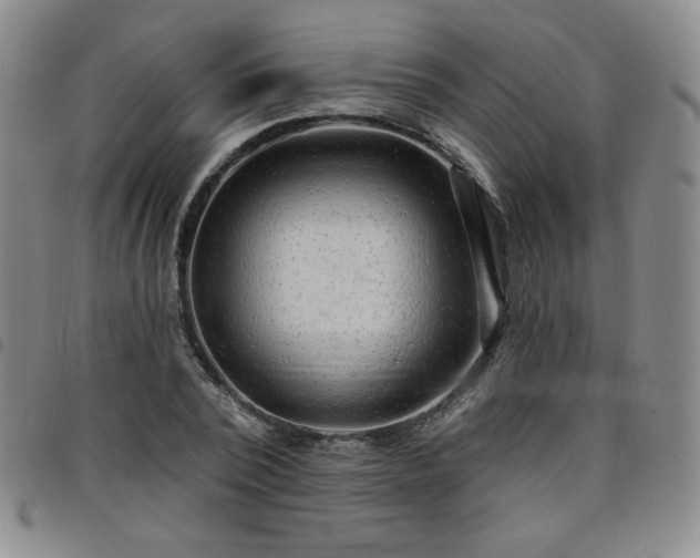 X0000098130784200804241648