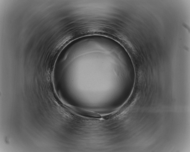X0000098130785200804241648