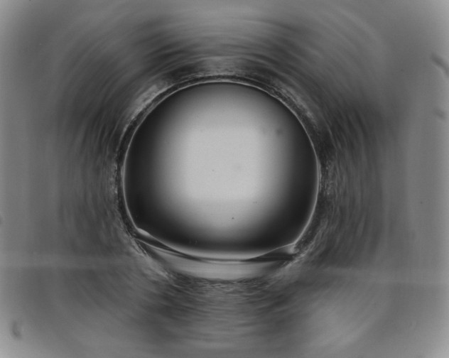 X0000098130786200804241648