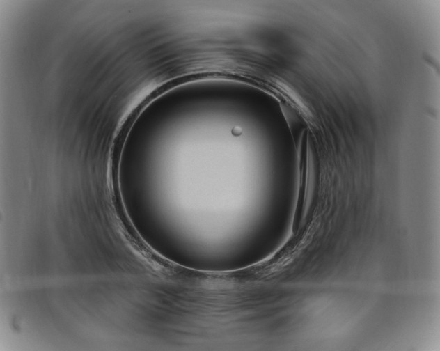 X0000098130788200804241648