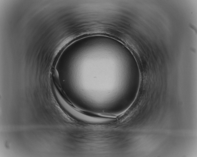 X0000098130789200804241648
