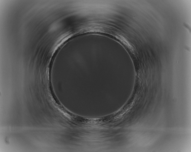 X0000098130790200804241648