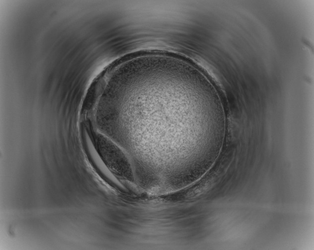 X0000098130791200804241648