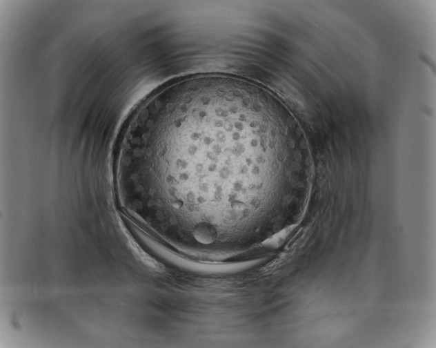 X0000098130792200804241648