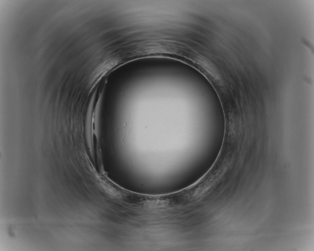 X0000098130793200804241648