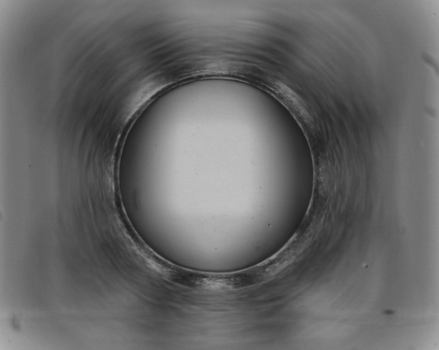 X0000098130794200804241648