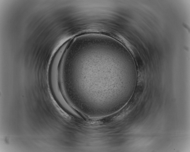 X0000098130795200804241648