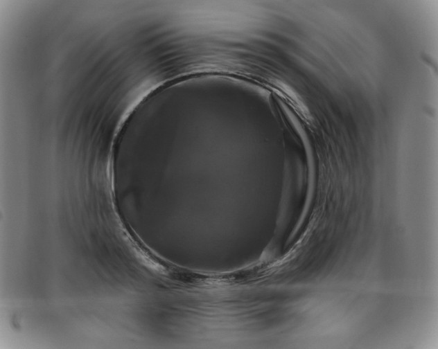X0000098130796200804241648