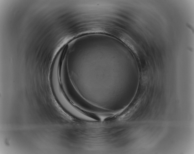 X0000098130797200804241648