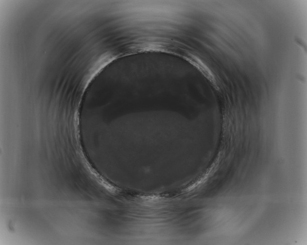 X0000098130798200804241648