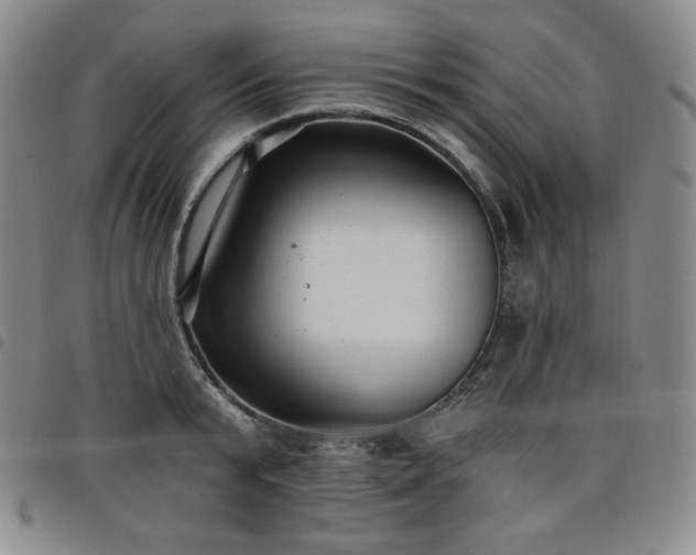 X0000098130799200804241648