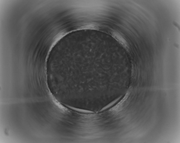 X0000098130800200804241648