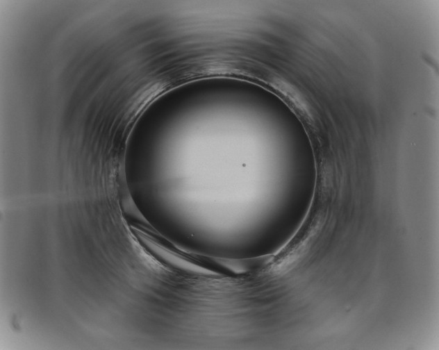 X0000098130801200804241648