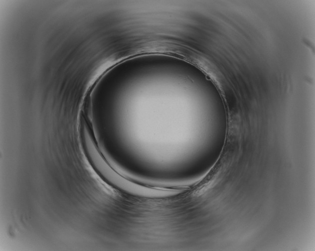 X0000098130803200804241648
