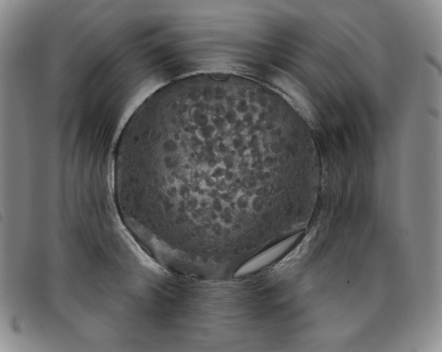X0000098130804200804241648