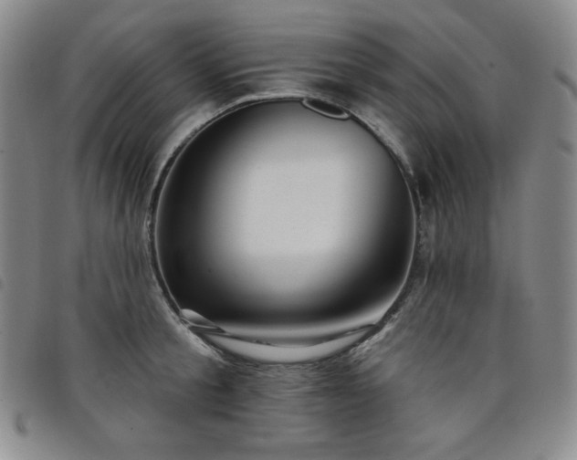 X0000098130805200804241648