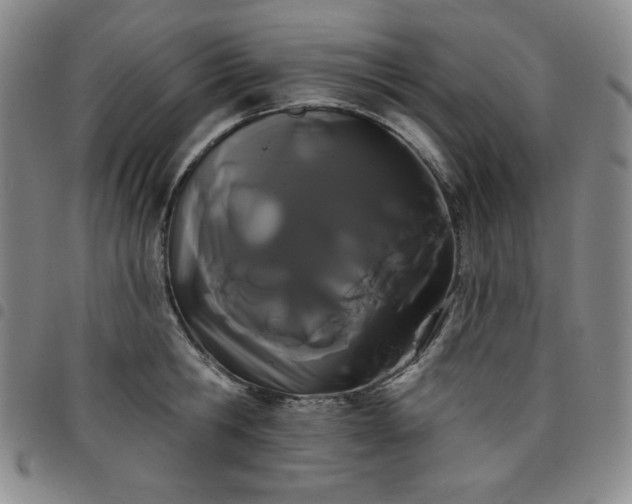 X0000098130806200804241648